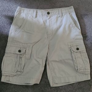 Mens Arizona Cargo Shorts W-31